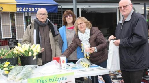 140.000 tulipes : quand l’espoir se cultive