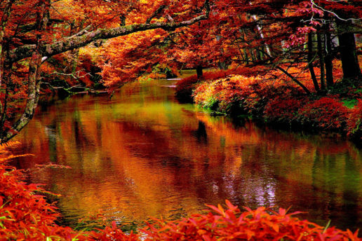 Fête de l’automne et randonnée le dimanche 06 octobre 2019